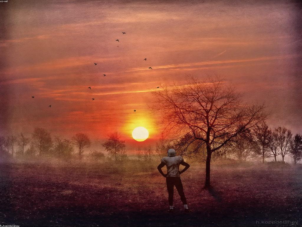 ការយល់ដឹងពីចិត្តវិជ្ជារបស់អ្នកលេង