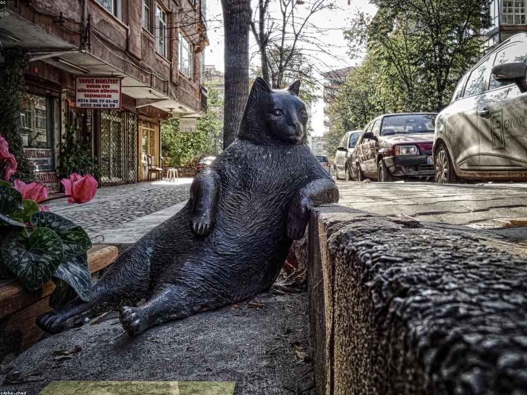 ការយល់ដឹងអំពីអាកប្បកិរិយារបស់អ្នកលេង